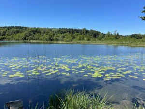 Les quatre lacs, Ilay, Narlay, Petit Maclu et Grand Maclu - La Chaux-du-Dombief - 24