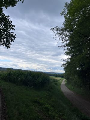 Promenade sur les hauteurs de Morschwiller le bas. - Nathalie - 4