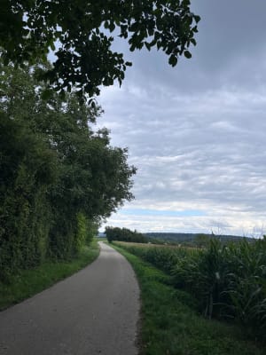 Promenade sur les hauteurs de Morschwiller le bas. - Nathalie - 5