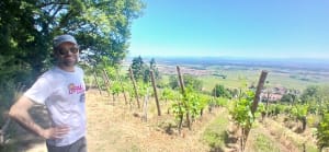 Descente des 3 châteaux d’Eguisheim - Eguisheim - 3