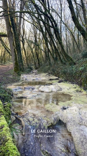 Balade le long du ruisseau de Caillon - Floirac - 15