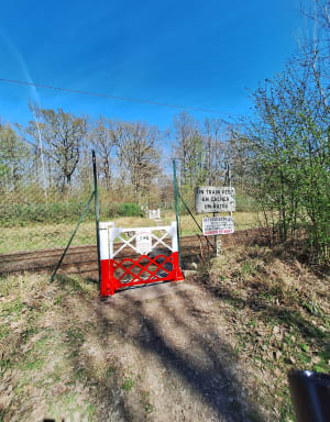 Marche en forêt - Ozoir-la-Ferrière - 4