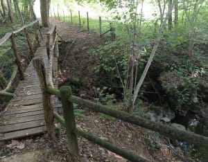 Promenade sur les hauteurs de Beaulieu - Beaulieu-sur-Dordogne - 5