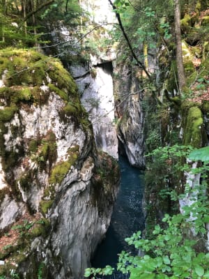 Anciennes gorges des Tines - Sixt-Fer-à-Cheval - 9