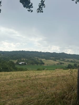 Mont Thou en zijn cabornes, overblijfselen uit het verleden - Saint-Cyr-au-Mont-d'Or - 34