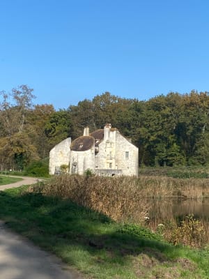 Balade en forêt de Montmorency - Saint-Leu-la-Forêt - 7