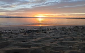 Pointe de Merquel et plaisirs de la pêche à pied - Quimiac - 4