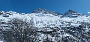 Sur les traces de Belle et Sébastien - Bonneval-sur-Arc - 17