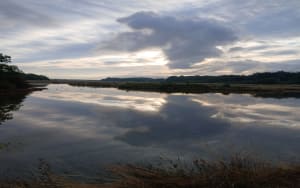 Pointe de Merquel et plaisirs de la pêche à pied - Quimiac - 7