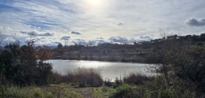 Étang de Colbert et Vallon de Badelune - Le Cannet-des-Maures - 5