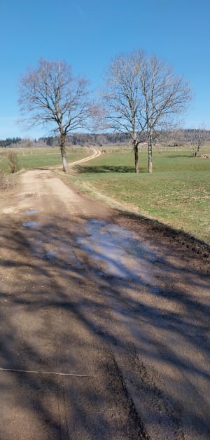 Belvédères au long du Dessoubre - Cour-Saint-Maurice - 9