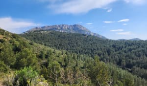 Vallon Ricard - Karine - 4