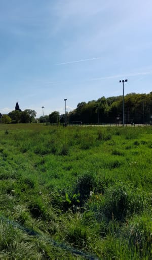 Zielony Skwerek Płaszów - Jerzy - 8