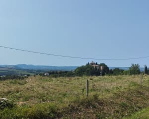 Le chemin de Coume Torte à Saint-Christaud - Cédric - 4