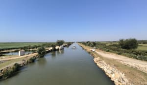 Jolie balade en petite Camargue et son patrimoine naturel - Amélie - 9