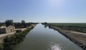 Jolie balade en petite Camargue et son patrimoine naturel - Amélie - 10