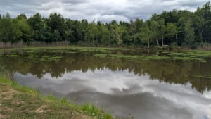De La Galaure a l’Étang Johana Maria - Le Grand-Serre - 6
