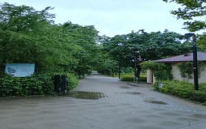 Park Znicza i Warszawa - Warszawa - 2