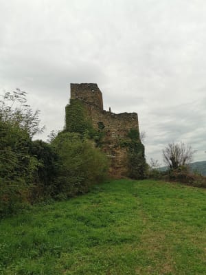 Seyssuel, château, vignes, vallée du Rhône - Maud - 11