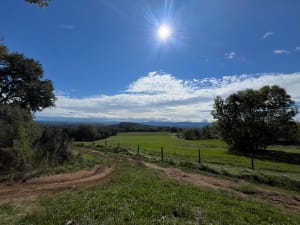 Un Tour en Forêt de Bégut - Peaugres - 9