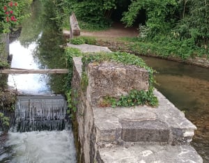 Fontaine-sous-Jouy, ses bois et ses étangs - Fontaine-sous-Jouy - 11