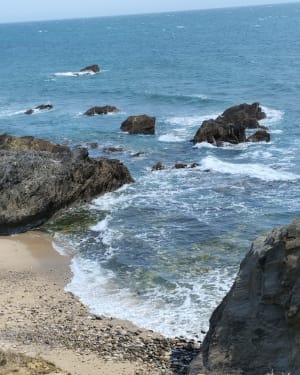 Pointe du Payré-pad - Jard-sur-Mer - 34