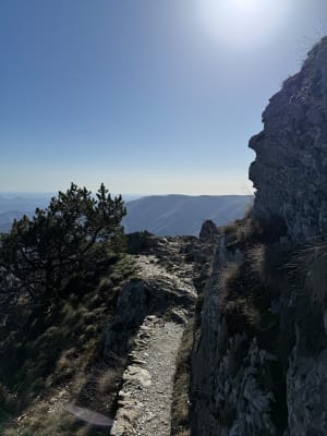 Balade au Mont Aigoual - Val-d'Aigoual - 5