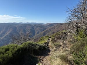 Balade au Mont Aigoual - Val-d'Aigoual - 6