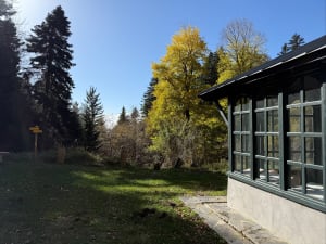 Balade au Mont Aigoual - Val-d'Aigoual - 7