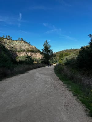 Mandelieu-la-Napoule depuis les hauteurs et riche passé - Mandelieu-la-Napoule - 46