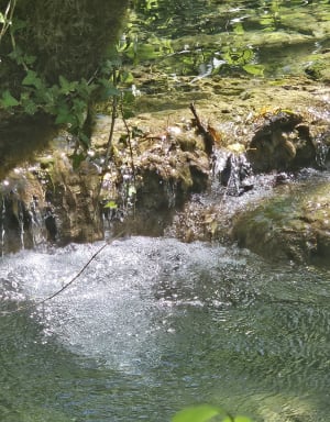 Wandel naar de Tufs-waterval en de kleine Cuisance-bron - Les Planches-prés-Arbois - 37