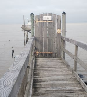 Immersion à Fouras et sa Pointe de la Fumée historique - Fouras - 8
