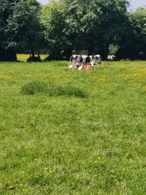 Les trésors cachés entre La Comté et Beugin. - La Comté - 18
