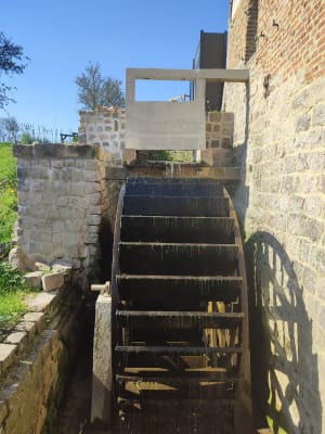 Les trésors cachés entre La Comté et Beugin. - La Comté - 19