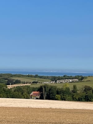 Le mont de couple à Wissant - Wissant - 15