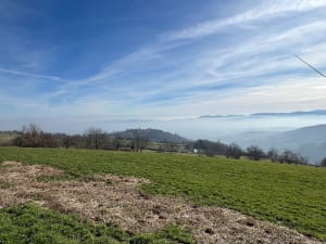 Dans les Monts du Lyonnais, par Grand Mont, depuis Riverie - Riverie - 21