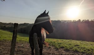 Civrieux-d'Azergues, entre ombre et soleil - Zoeline - 6