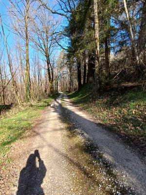 Charente limousine par Lavallade - Roussines - 4