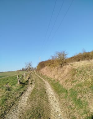 Le Vexin bossu au départ d'Écos - Vexin-sur-Epte - 3