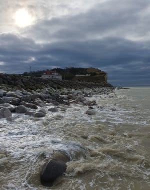 Mont Jolibois, kwelders en kliffen van Criel-sur-Mer - Criel-sur-Mer - 21