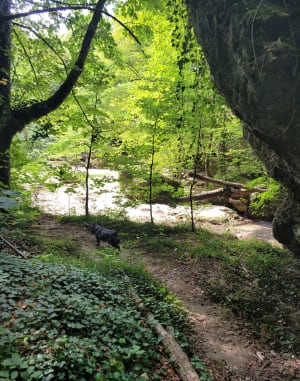 Gorges de Thurignin et Cascade de Cerveyrieu - Valromey-sur-Séran - 7