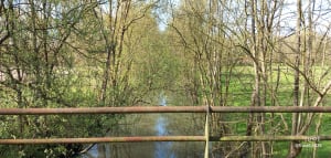 À travers les canaux d'Arçais et unicité du Marais Poitevin - Arçais - 12