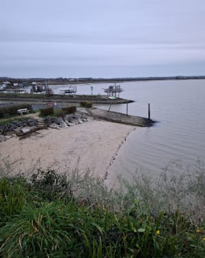 Visite touristique de Meschers sur Gironde - Meschers-sur-Gironde - 21