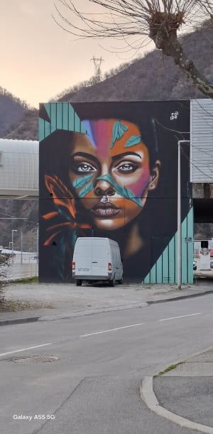Incontournable, le parcours Street-Art de Moûtiers ! - Moutiers - 26