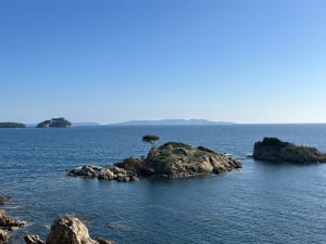 Entre terre et mer, du côté de Bregancon - Bormes-les-Mimosas - 32