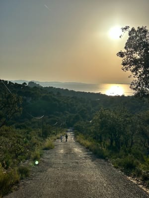 Entre terre et mer, du côté de Bregancon - Bormes-les-Mimosas - 33