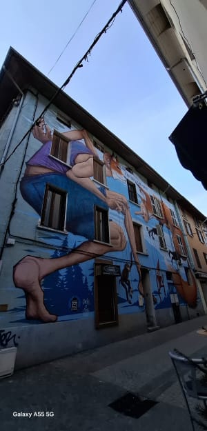 Incontournable, le parcours Street-Art de Moûtiers ! - Moutiers - 29