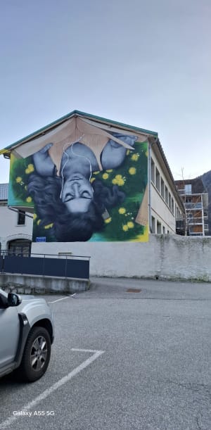 Incontournable, le parcours Street-Art de Moûtiers ! - Moutiers - 31