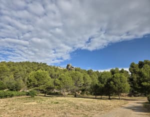 Balade depuis Bize-Minervois - Bize-Minervois - 5