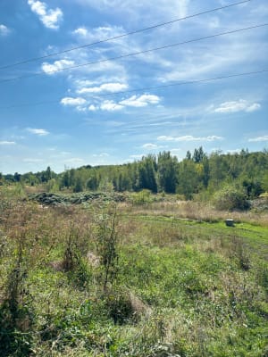 Terrils Sud de Fouquiéres-lès-Lens - Fouquières-lès-Lens - 7